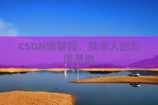 CSDN博客园，技术人的交流圣地